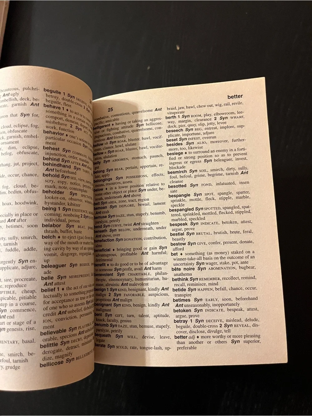 Webster's Thesaurus of English Language Book Merriam-Webster